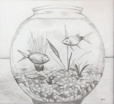 Fish, Swim, Aquatic, Marine, Scales Drawing