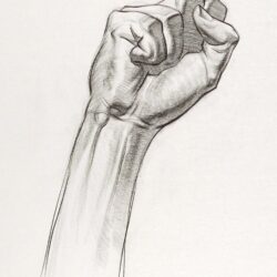Fist Drawing Artistic Sketching