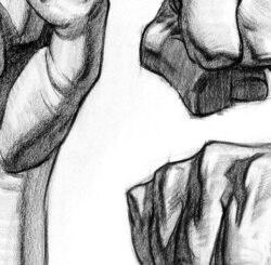 Fist Reference Drawing Artistic Sketching