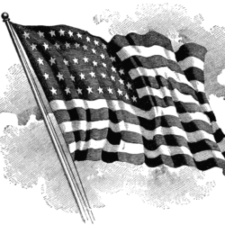 Flag Drawing