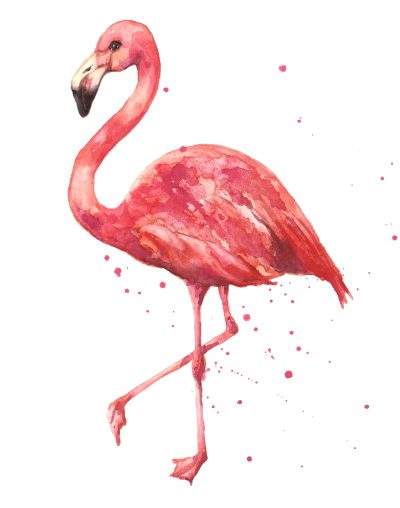 Flamingo, Exotic, Tropical, Elegant, Vibrant Drawing