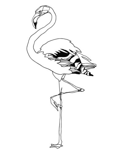 Flamingo, Exotic, Tropical, Elegant, Vibrant Drawing