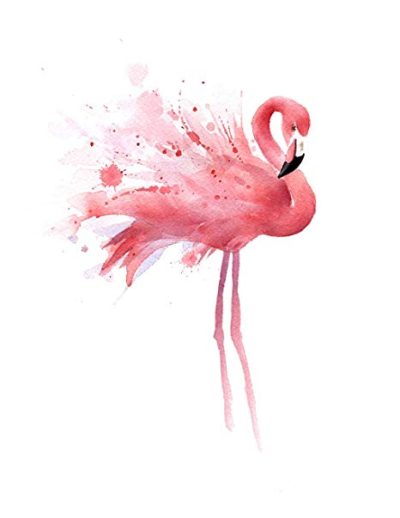 Flamingo, Elegant, Bird, Pink, Tropical Drawing