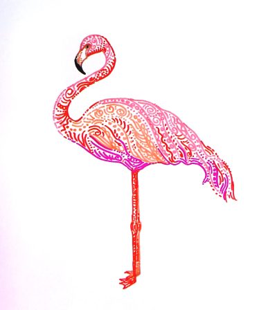 Flamingo, Elegant, Bird, Pink, Tropical Drawing