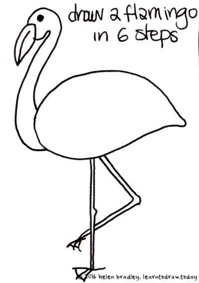 Flamingo, Elegant, Bird, Pink, Tropical Drawing