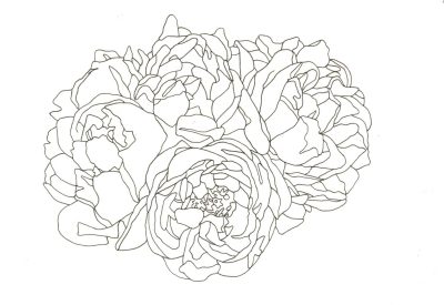 Floral, Arrangements, Designs, Patterns, Aesthetics Drawing