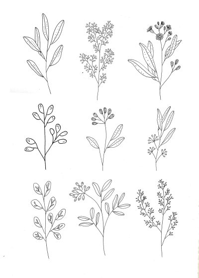 Floral, Arrangements, Designs, Patterns, Aesthetics Drawing