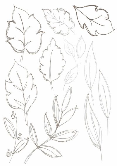 Floral, Arrangements, Designs, Patterns, Aesthetics Drawing