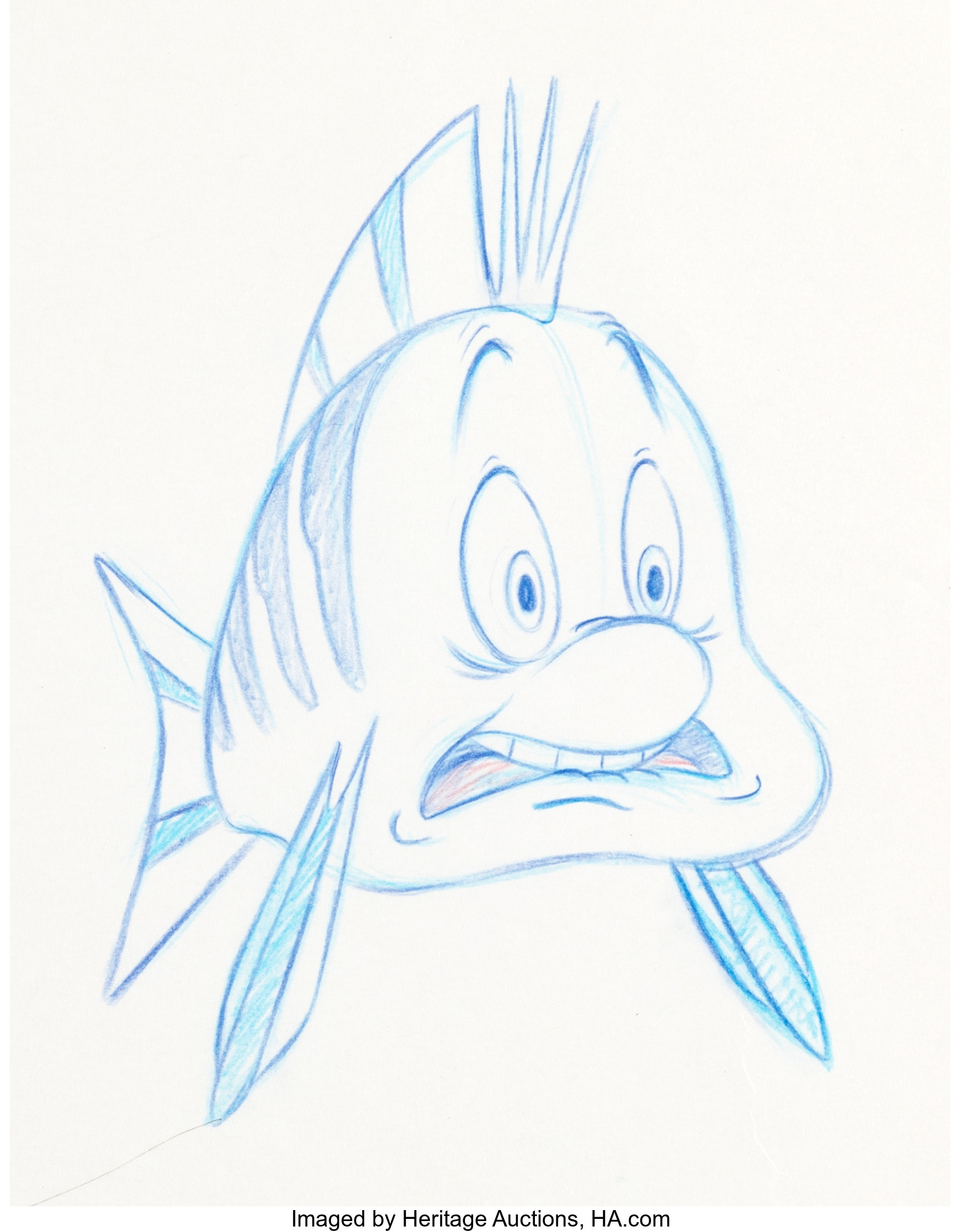 Flounder Fish Drawing Art