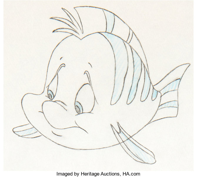 Flounder Fish Drawing Artistic Sketching