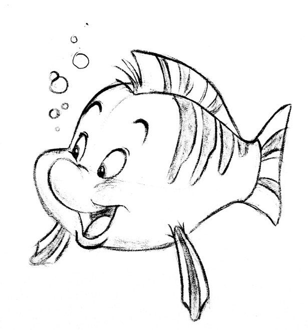 Flounder Fish Drawing Hand drawn Sketch