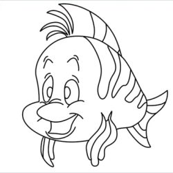 Flounder Fish Drawing Modern Sketch