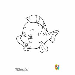 Flounder Fish Drawing Sketch