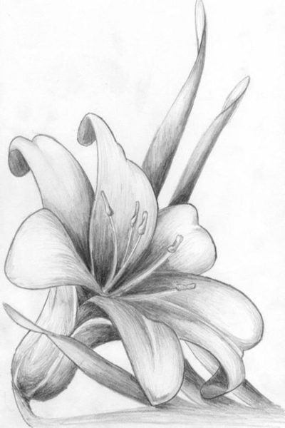 Floral, Arrangements, Designs, Patterns, Aesthetics Drawing