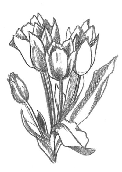 Floral, Arrangements, Designs, Patterns, Aesthetics Drawing