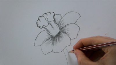 Floral, Arrangements, Designs, Patterns, Aesthetics Drawing