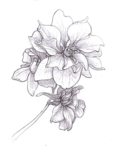 Floral, Arrangements, Designs, Patterns, Aesthetics Drawing