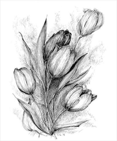 Floral, Arrangements, Designs, Patterns, Aesthetics Drawing