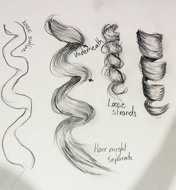 Fluffy Hair Drawing Realistic Sketch