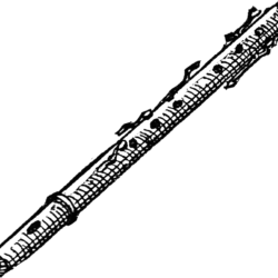 Flute Drawing