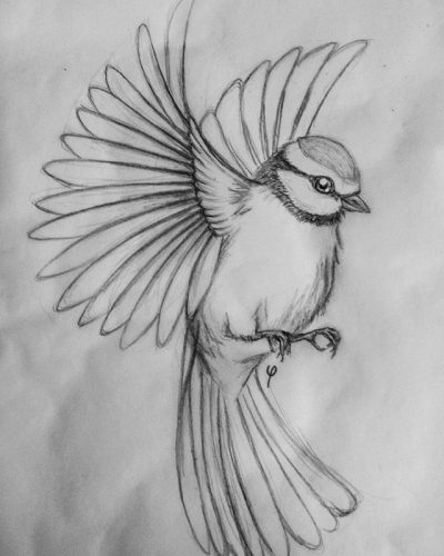 Flying Bird, Avian Grace, Soaring Wings, Skyward Flight, Nature’s Majesty Drawing