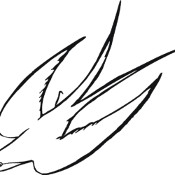 Flying Bird Drawing Creative Style