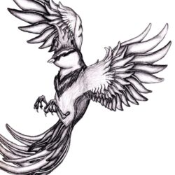 Flying Bird Drawing Image