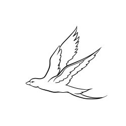 Flying Bird Drawing Stunning Sketch
