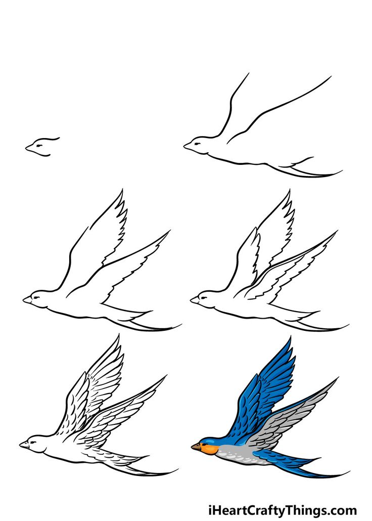 Flying Bird Drawing
