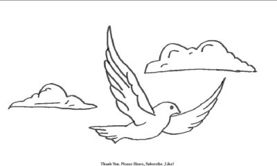 Flying Bird, Sky Dancer, Soaring Wings, Avian Grace, Free Spirit Drawing