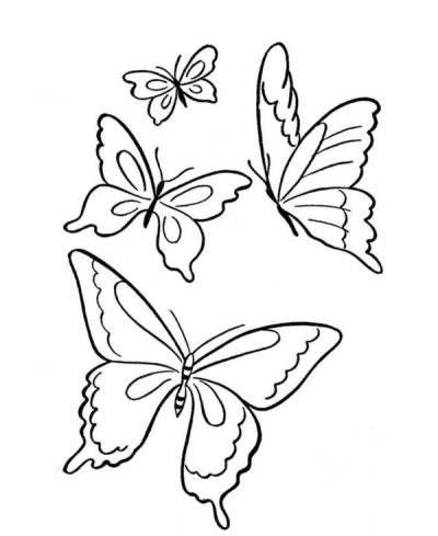 Flying Butterfly, Colorful Wings, Delicate Dance, Graceful Flight, Nature’s Beauty Drawing