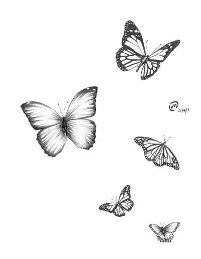 Flying Butterfly, Colorful Dance, Soaring Elegance, Nature’s Wonder, Graceful Wings Drawing