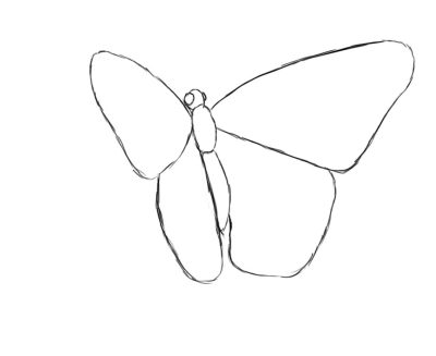 Flying Butterfly, Graceful Flight, Nature’s Beauty, Colorful Wings, Serene Dance Drawing