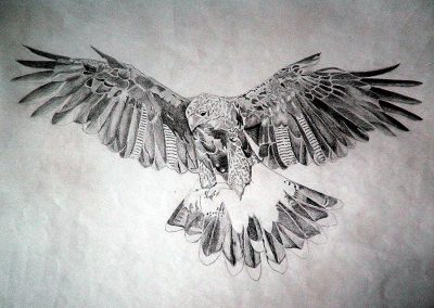 Fly, Glide, Ascend, Soar, Hover Drawing