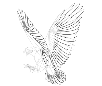 Flying Bird, Skyward Flight, Graceful Avian, Soaring Wings, Freedom Above Drawing