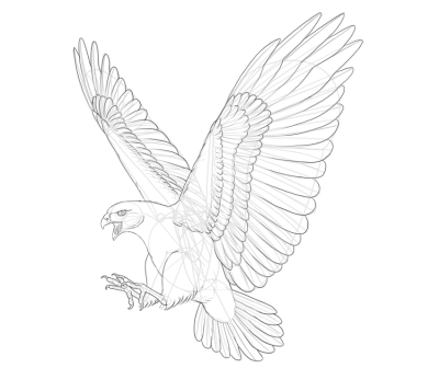 Flying Hawk, Sky Hunter, Soaring Bird, Agile Winged, Majestic Predator Drawing