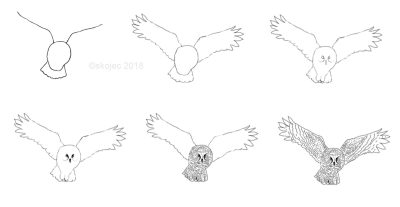 Flying Owl, Night Hunter, Silent Flier, Wise Predator, Moonlit Glider Drawing