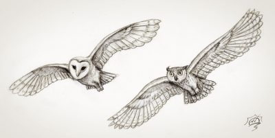 Fly, Navigate, Soar, Explore, Glide Drawing