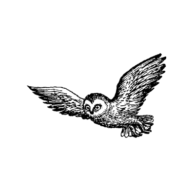 Flying Owl, Night Hunter, Silent Flier, Wise Predator, Moonlit Glider Drawing