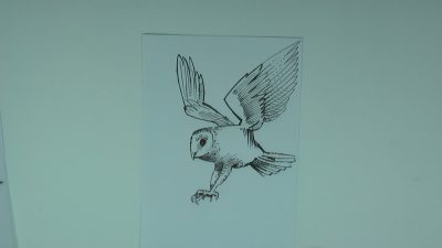 Fly, Glide, Ascend, Hover, Soar Drawing