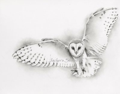 Flying Owl, Mystical Creature, Wise Predator, Night Hunter, Silent Glider Drawing