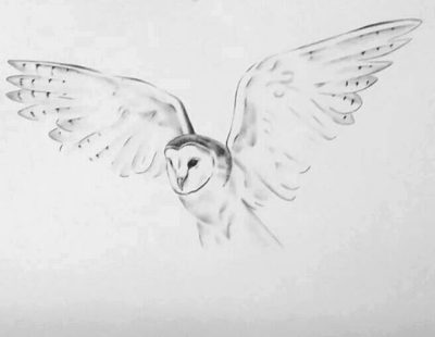 Fly, Soar, Ascend, Hover, Glide Drawing