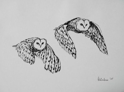 Fly, Soar, Glide, Float, Hover Drawing