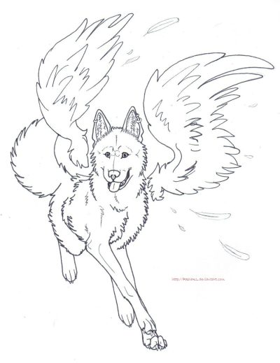 Flying Wolf, Majestic Creature, Soaring Predator, Agile Beast, Sky Hunter Drawing