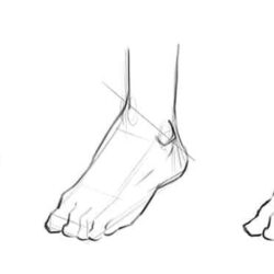 Foot Drawing