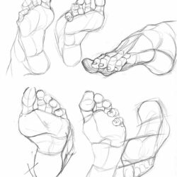 Foot Drawing Detailed Sketch