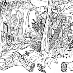 Forest Drawing