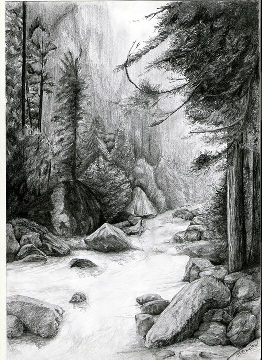 Forest Drawing Amazing Sketch