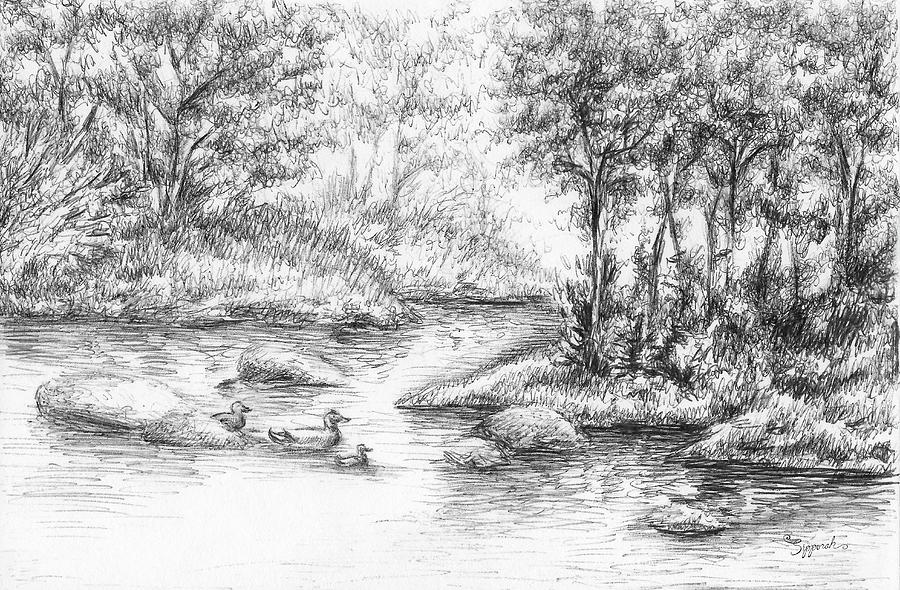 Forest Drawing Artistic Sketching