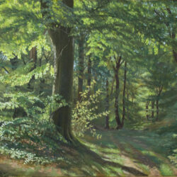 Forest Drawing Beautiful Artwork